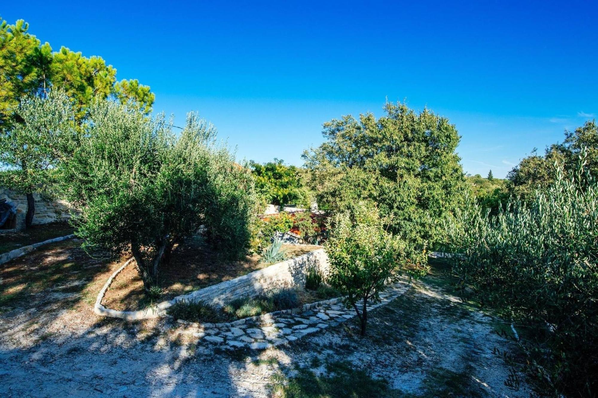 My Dalmatia - Holiday Home Korlat With Private Pool Benkovac Εξωτερικό φωτογραφία